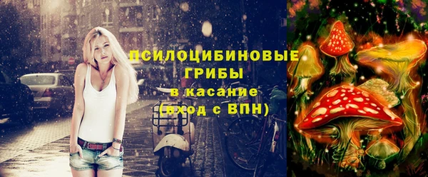 винт Абаза