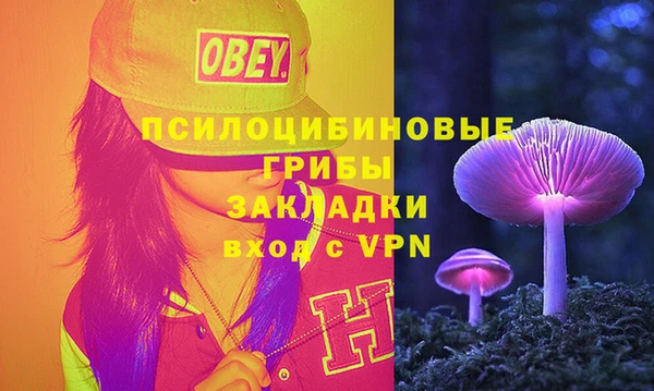 амф Абинск