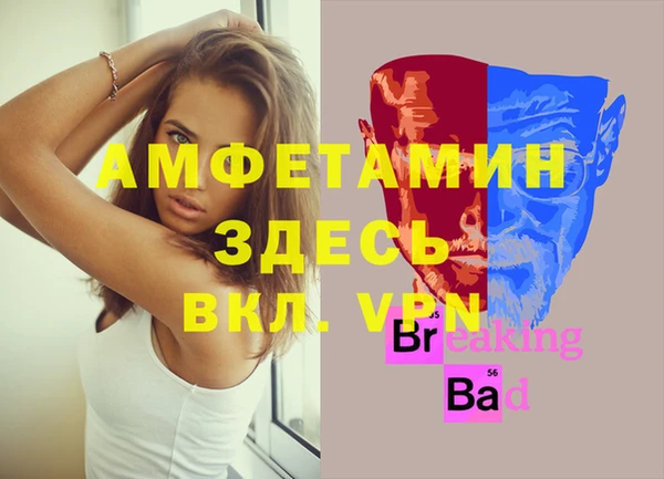 амф Алексин