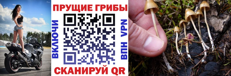 сайты даркнета клад  Красноуфимск  Галлюциногенные грибы мухоморы  наркошоп 