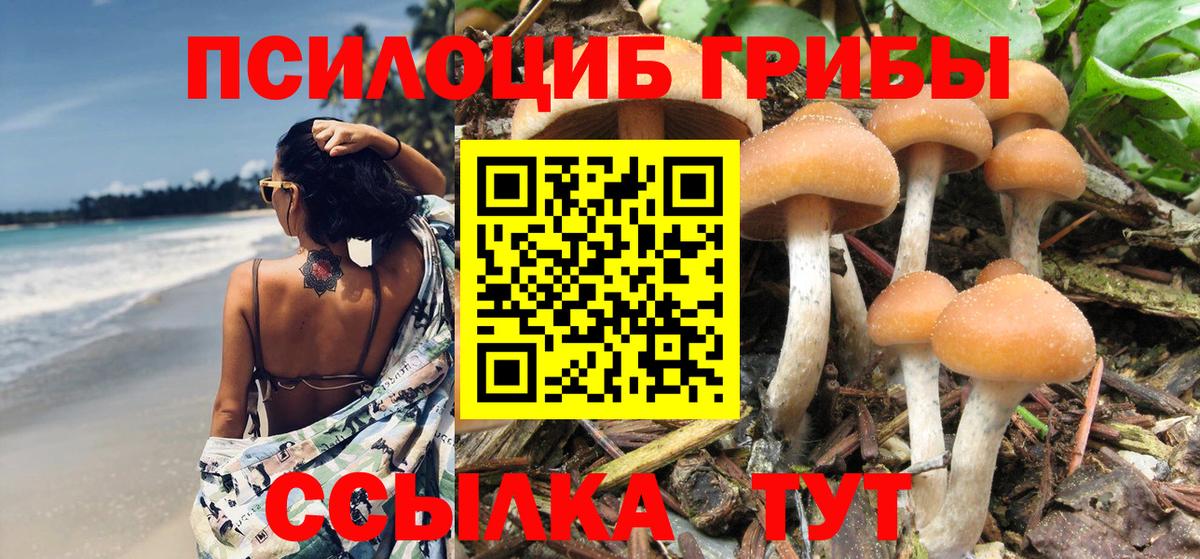 Красноуфимск  Псилоцибиновые грибы MAGIC MUSHROOMS  Вход с VPN 
